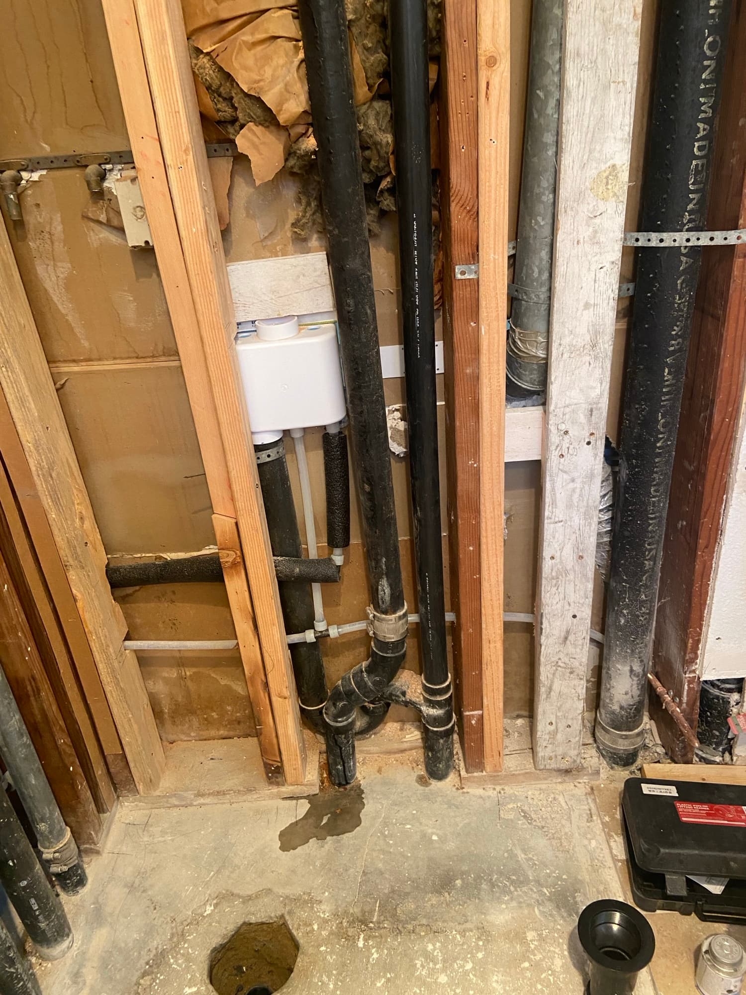 Multiple black ABS drain lines and a cleanout fitting run through wall framing, Orange County, CA